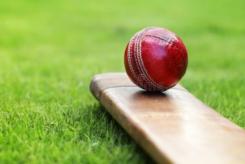 Cricket Fans